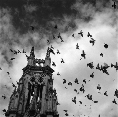 alberto garcia alix - misericordia